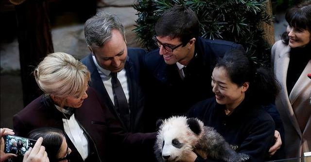 马克龙总统凑钱硬吃竹子，熊猫每年租金2000万！