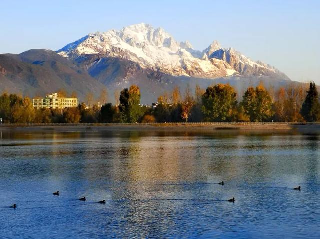 【视界】雪巅染金:丽江冬日的第一封邀约