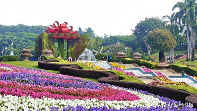 三位园林人揭秘云台花园“百花魔法”