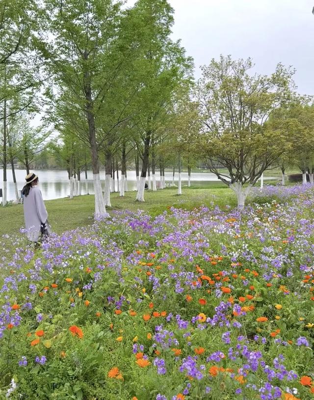 合肥版“赛里木湖”火了！好多人打卡