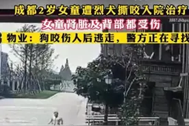 后续来了：恶狗已被抓获，狗主人仍拒不露面，爱狗人士替狗求情图片
