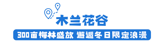 踏雪寻梅！限定版冬日浪漫，来黄陂接收！