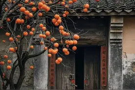 “家有青龙树，后代一直富”，啥是“青龙树”？图片