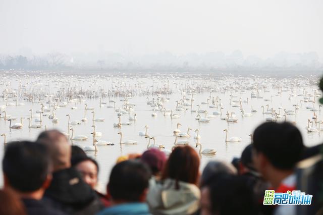 “江湖四宝”掀起岳阳冬季旅游热 四级媒体人亲身感受湘北生态画卷