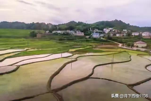 湘行散记,最真实的湖南农村现状令人唏嘘感叹