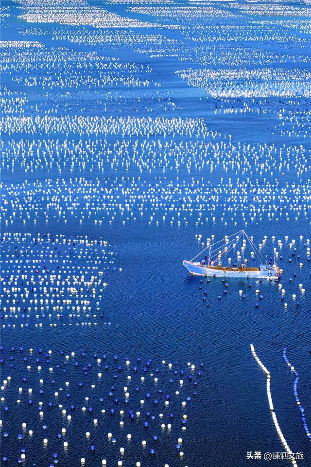 初冬最适合躺平的枸杞岛，用三天两晚邀你来村游！