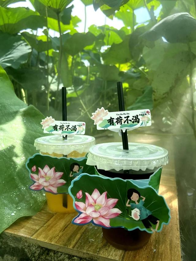 浦口这朵荷花会 “七十二变”