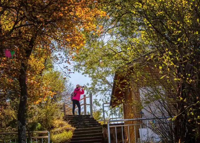 还能去哪儿赏最后一波秋色……