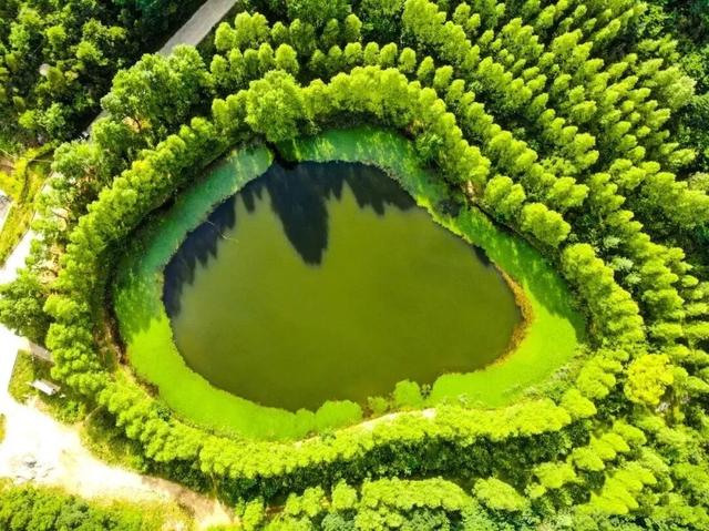 徽县“衣”秒换装！暖乎乎超治愈～