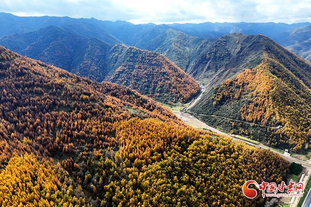 陇拍客丨岷县十里镇：秋色斑斓映洮水