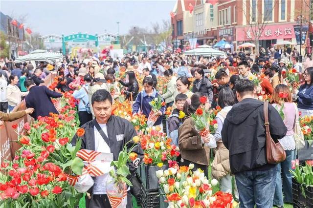 张汉成〡醉在盐城，那一片多情的大丰花海
