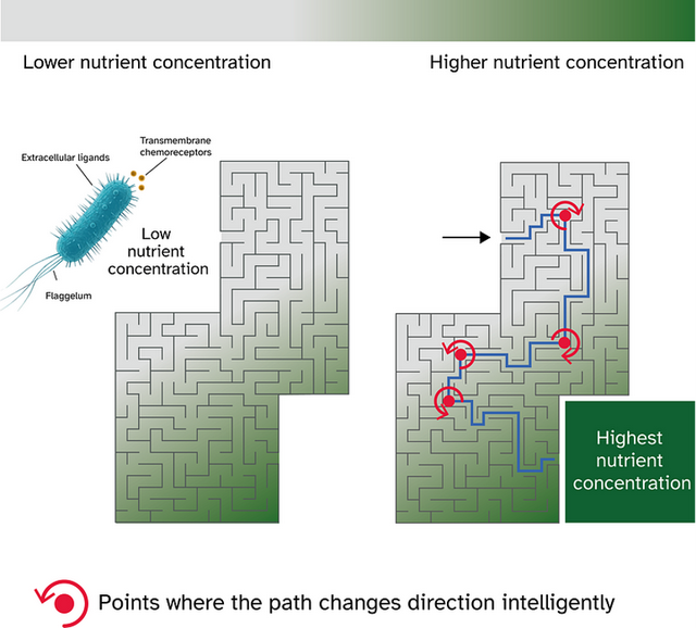 机器的道德觉醒：人工智能是否必须拥有意识才能真正关怀人类