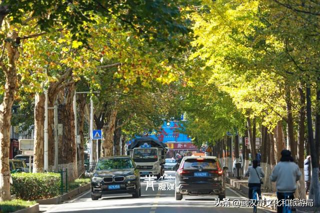 大降温后，青山最美冬景即将上线！