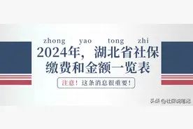 2024年湖北企业职工和灵活就业人员：社保缴费标准一览！建议收藏图片