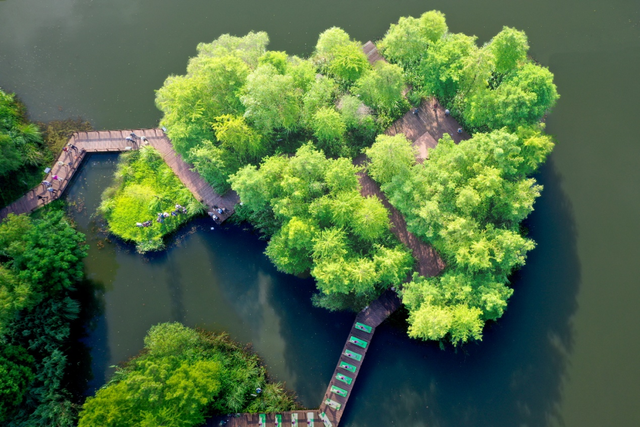 免费！无锡多地官宣