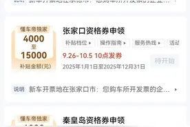 最高15000元！河北以旧换新补贴来了图片