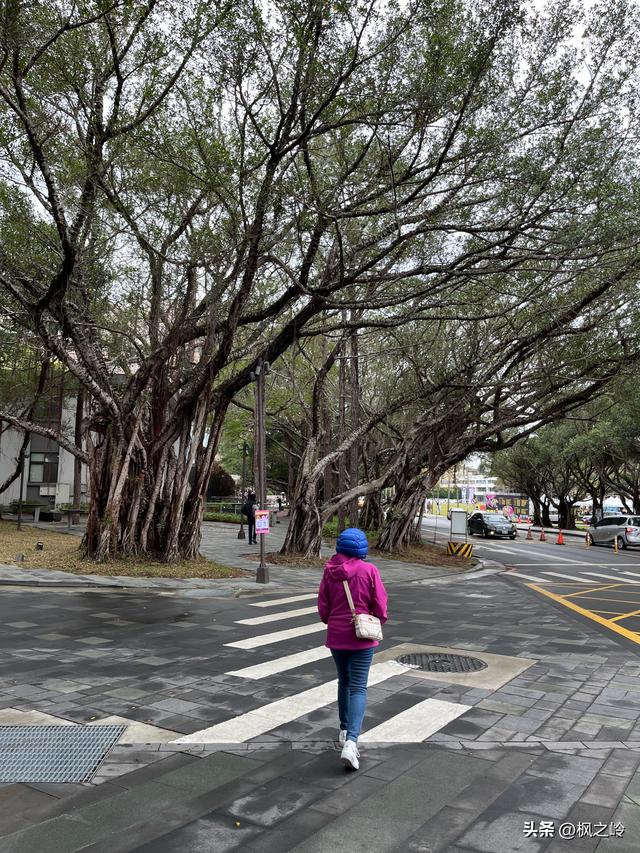 台湾游记：新竹「清华大学」印象