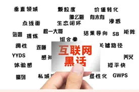请不要把咱们中国称作兔子--兼说网络黑话为什么盛行？图片