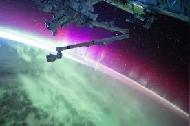 丈夫撞见妻子与三名男子共进晚餐，却意外遭遇激烈对抗，图片