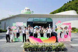 4500余对！“520”成都结婚登记人数较去年同期上涨图片