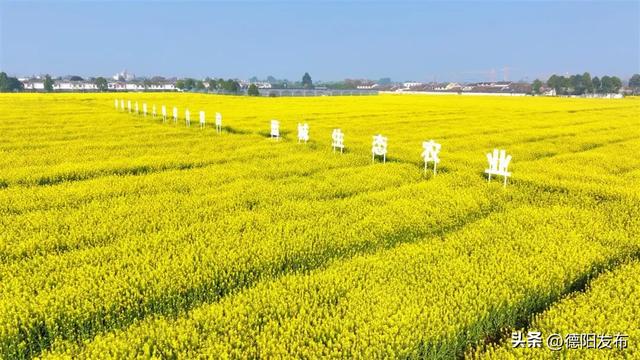 德阳春假请查收 !溜娃Color Walk