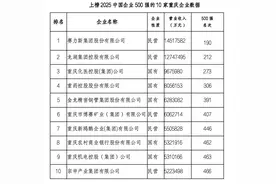 10家渝企跻身“2025中国企业500强” 赛力斯、机电、宗申是新面孔图片