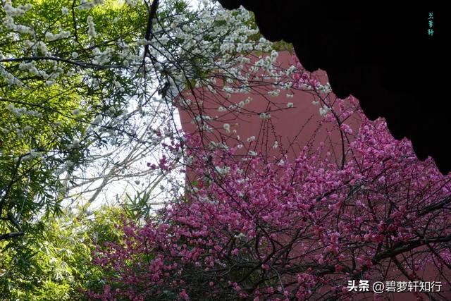 游杭州钱王祠：“钱塘自古繁华”由他开辟