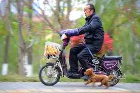 明确了，70周岁以上可合法驾驶5类电动车！上路不禁、不罚、不扣图片