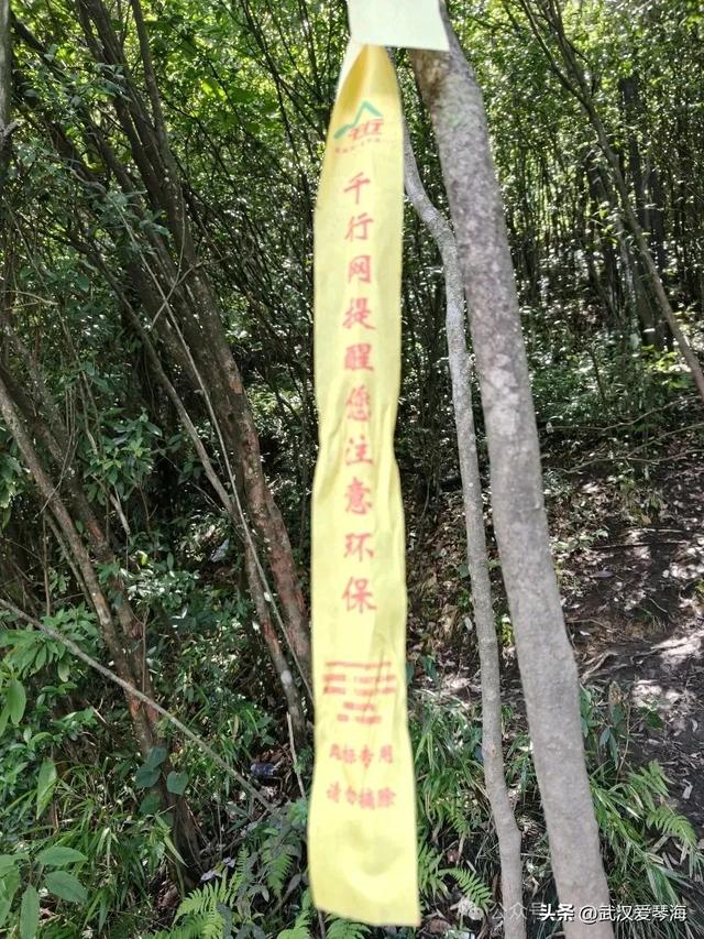徒步利川朝东岩：华中绝壁的震撼与隐忧，环保徒步爱好者的见闻