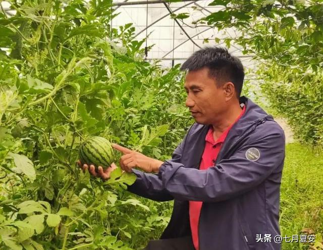 永兴岛一年三熟产出大量西瓜，如果覆盖南沙岛礁，可出口到东南亚