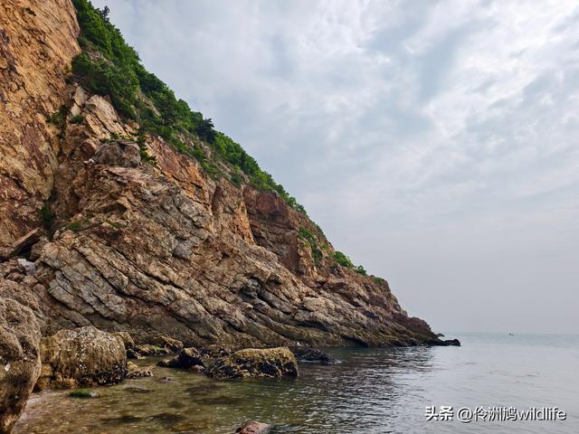 大连海之韵公园·棒槌岛