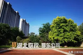 珠璧“联”辉绘新景 崭露“投”角开新局——湖北联投鄂东公司高质量发展纪实图片