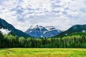 鼻毛总是“窜”出来的男人，究竟暗示了什么？看完你就明白了图片