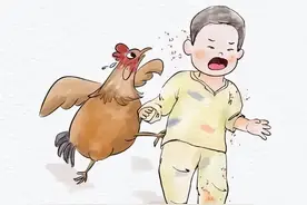 为什么母鸡不用和公鸡交配就能产蛋？公鸡存在的意义是啥呢？图片