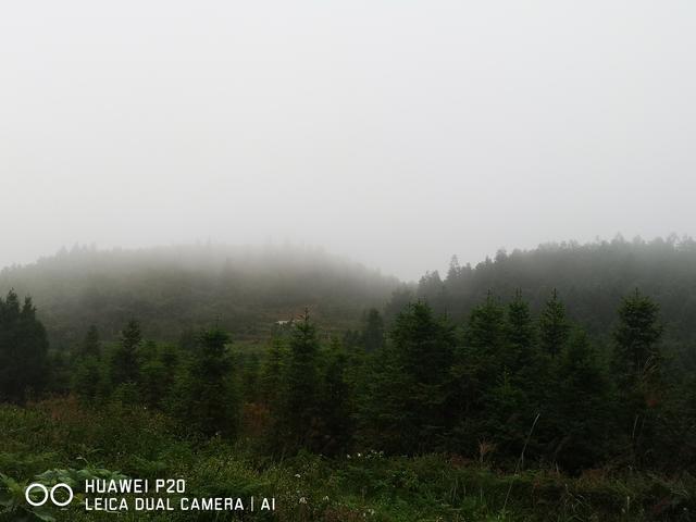 酷暑中探秘雪峰山巅峰的奥妙