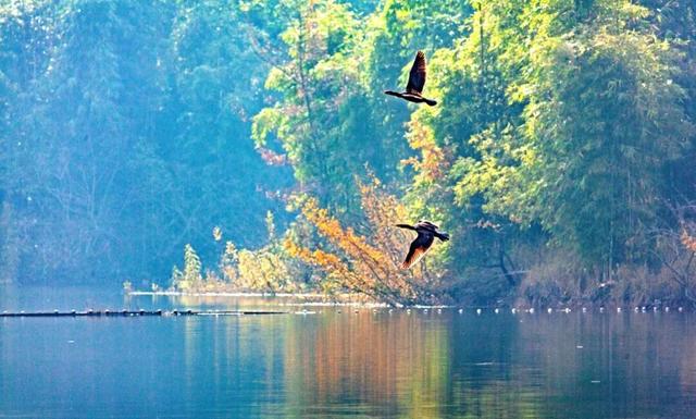 爱你老己，周末仁寿见！