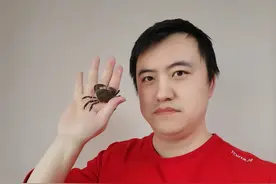 理工男在卫生间建“水族馆”，网友追更“蟹坚强”相亲，结果……图片