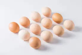 公鸡无外置性器官，如何和母鸡进行交配，无知惹得祸图片