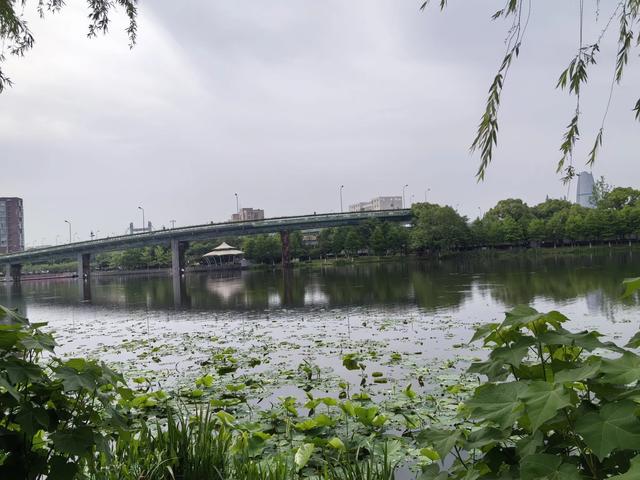 到宁波,我被“天一阁·月湖”的大石头给骗了
