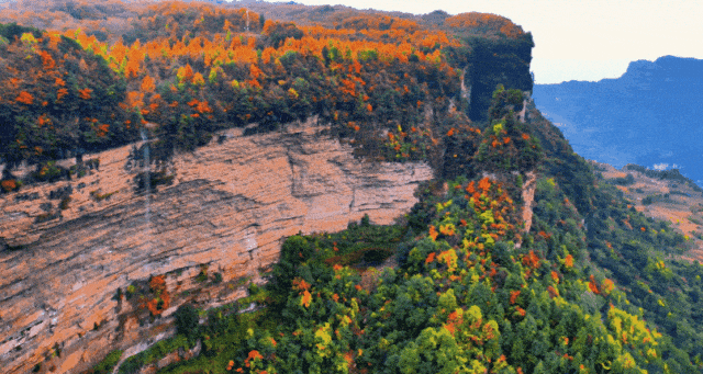 成都出发2.5h刹拢最绝红叶之城！秋色媲美九寨，一城吃够三省美食！更有山林温泉泡过瘾！
