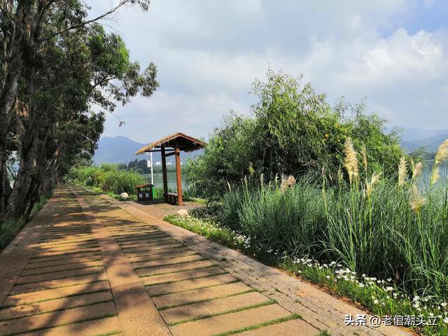 冬天的早上 晒着太阳从大观楼徒步到西山茶马花街 是什么样的感受?