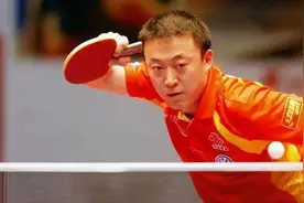 好大哥一辈子，张继科夸马琳不是人是神，2项成绩超牛折服藏獒图片