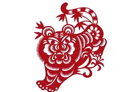 属相虎:生于这几个月的“虎”是苦命之人，命里就是还债的?图片