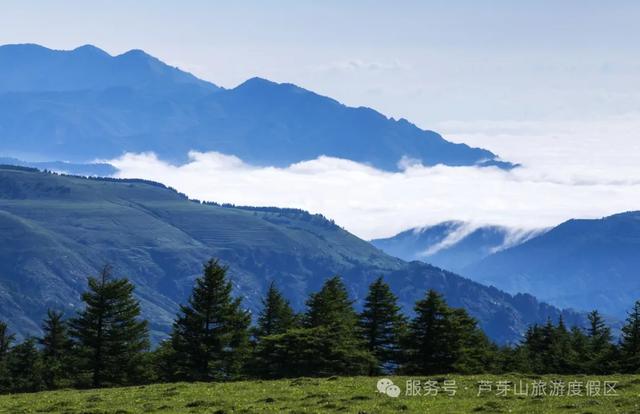 大同古城 ⇌ 芦芽山！大同景区直通车再添新线路