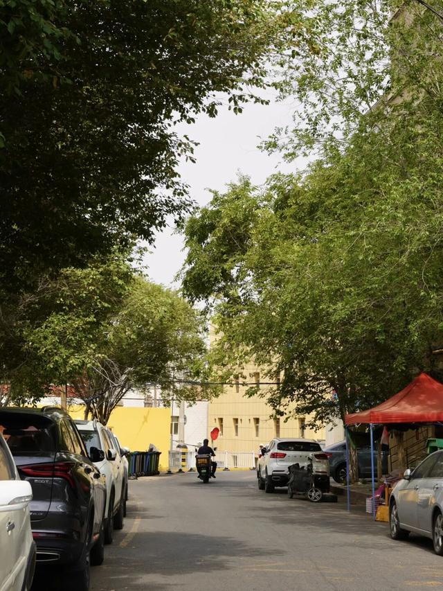 乌鲁木齐的劳动街，是由小炒、烧烤和夏夜晚风组成的