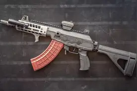 盘点全球10大高颜值突击步枪，你认为哪个最帅？图片