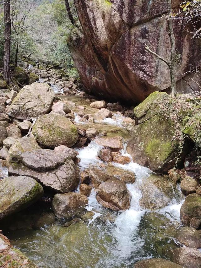 漫步黄山松掩山丛树杪，云隐仙踪徒步蹬道千阶