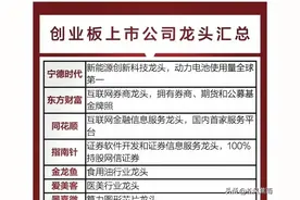 创业板龙头+华为10核心+半导体龙头+人工智能大全+人工智能产业链图片