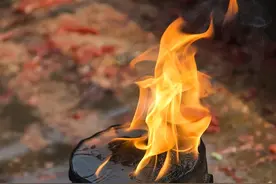 大选来临，多州竖起安全围栏！一场大乱预兆显现，总统花落谁家？图片