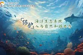 2024世界海洋日暨全国海洋宣传日图片